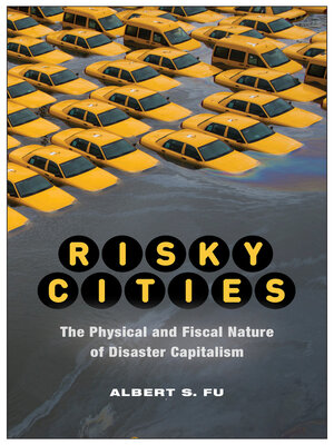 cover image of Risky Cities